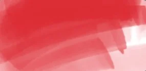 DAEPMR_ergo_red.jpg