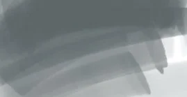 DAEPMBG6_basicgr6.jpg