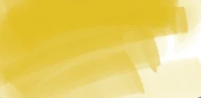 DAEPMSF_ergo_saffron.jpg