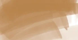 DAEPMLU_ergo_lumber.jpg