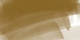 DAEPMDB_ergo_dbrown.jpg