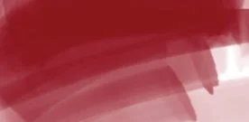 DAEPMWI_ergo_wine.jpg