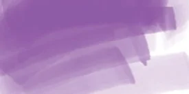 DAEPMV_ergo_violet.jpg