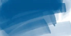 DAEPMIB_ergo_inkblue.jpg