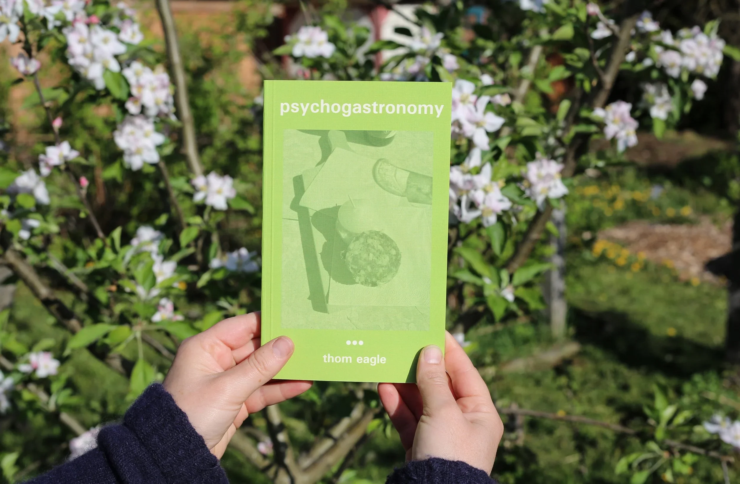 psycho+cover+landscape+crop+best.webp