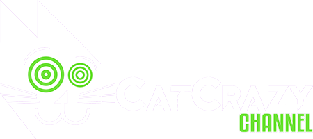 CatCrazy Channel