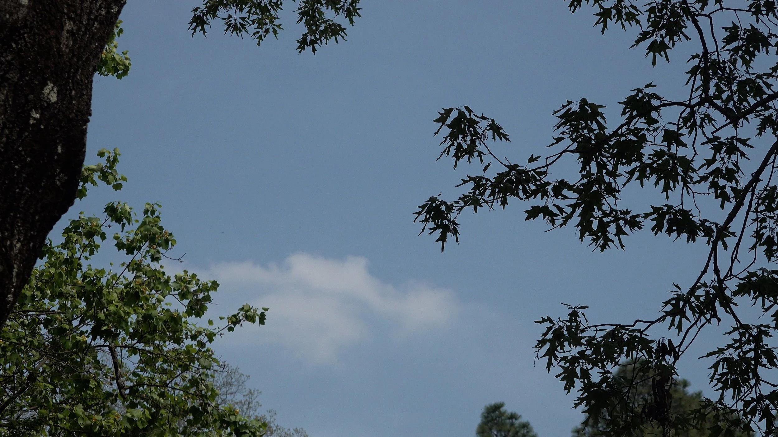 cut 2.00_00_58_11.Still006.jpg