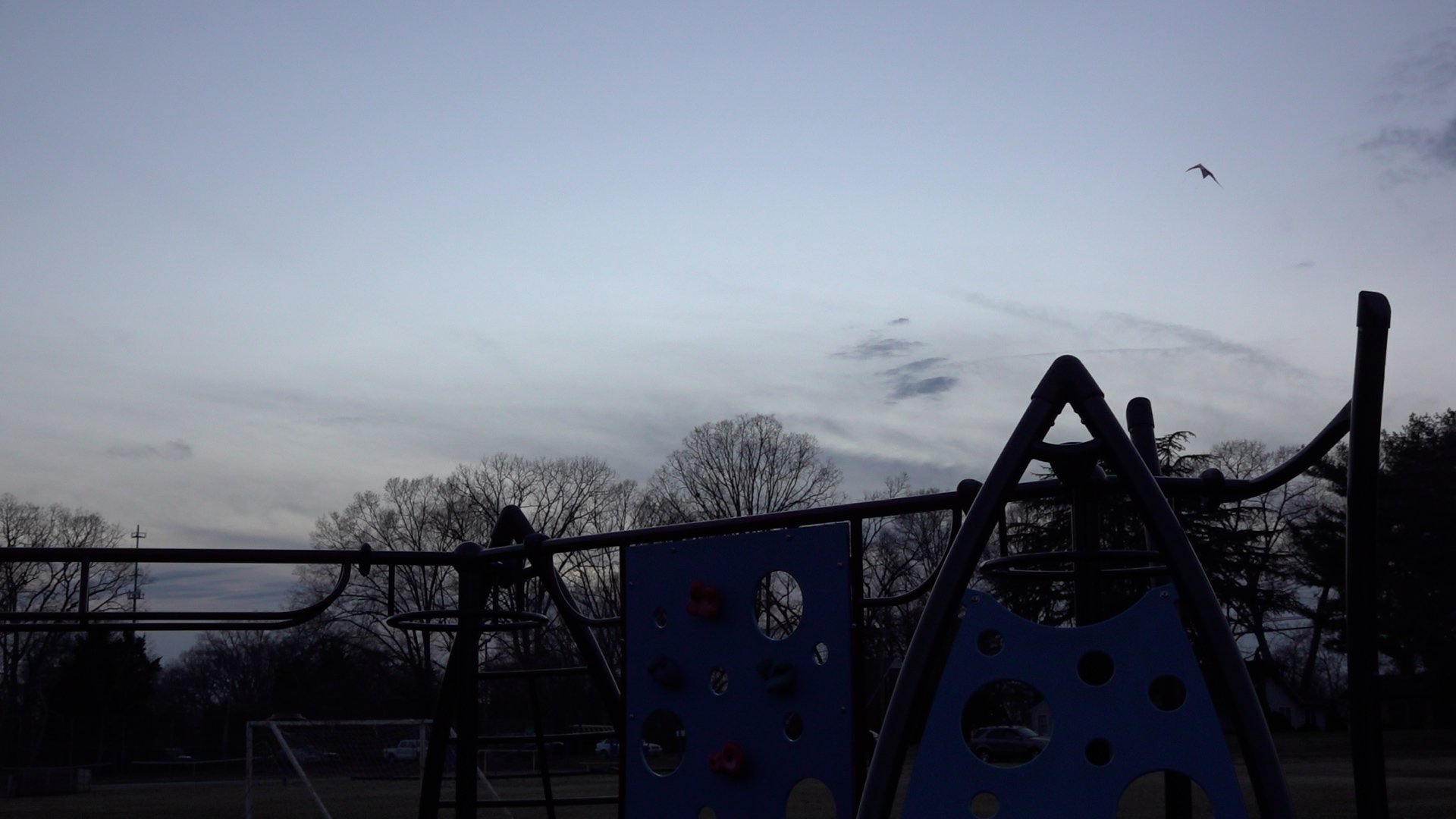 final cut.00_08_16_22.Still018.jpg