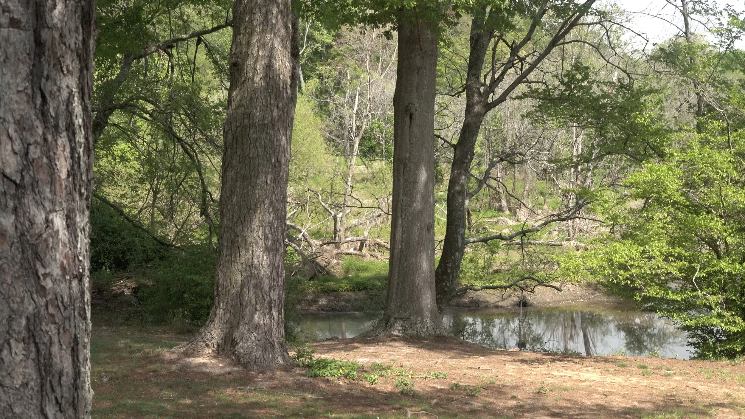 cut 2.00_00_54_20.Still005.jpg