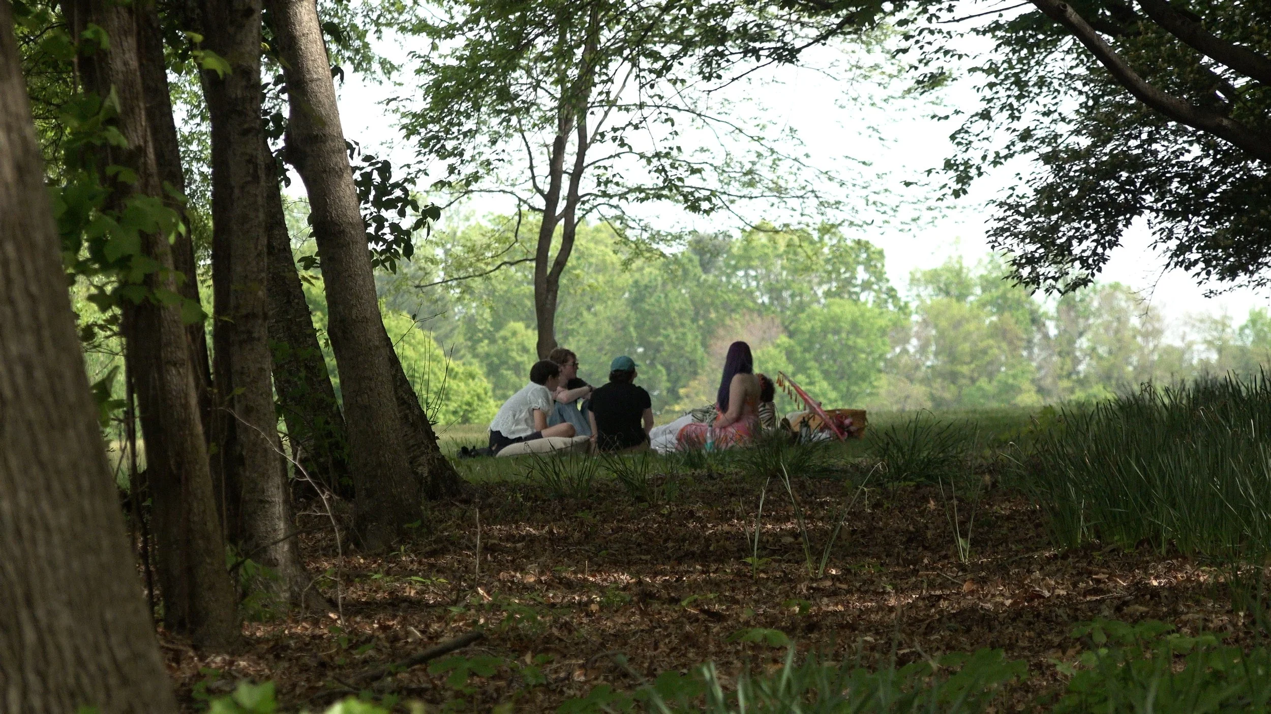 cut 2.00_04_20_05.Still012.jpg