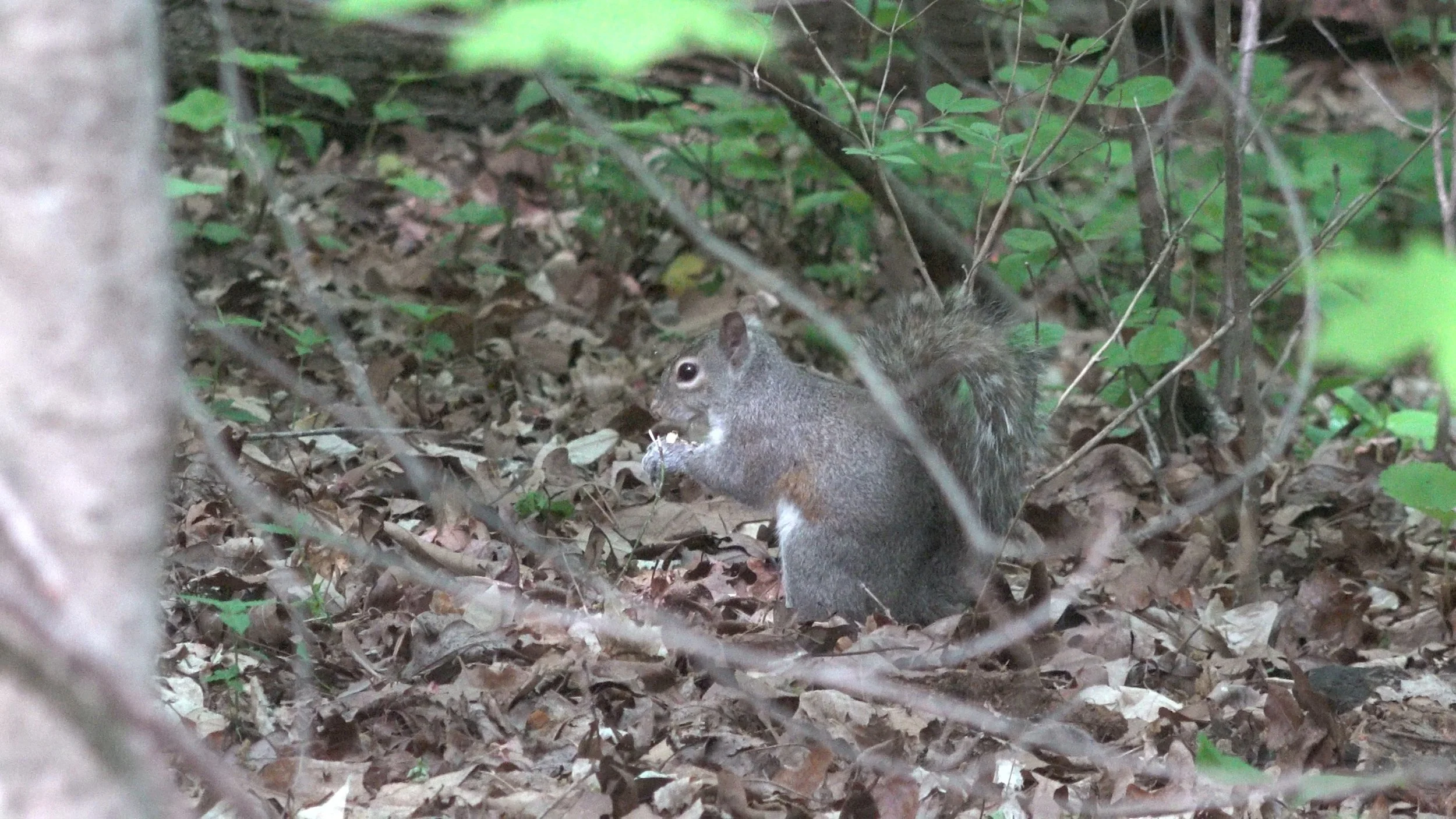 cut 2.00_04_12_10.Still011.jpg