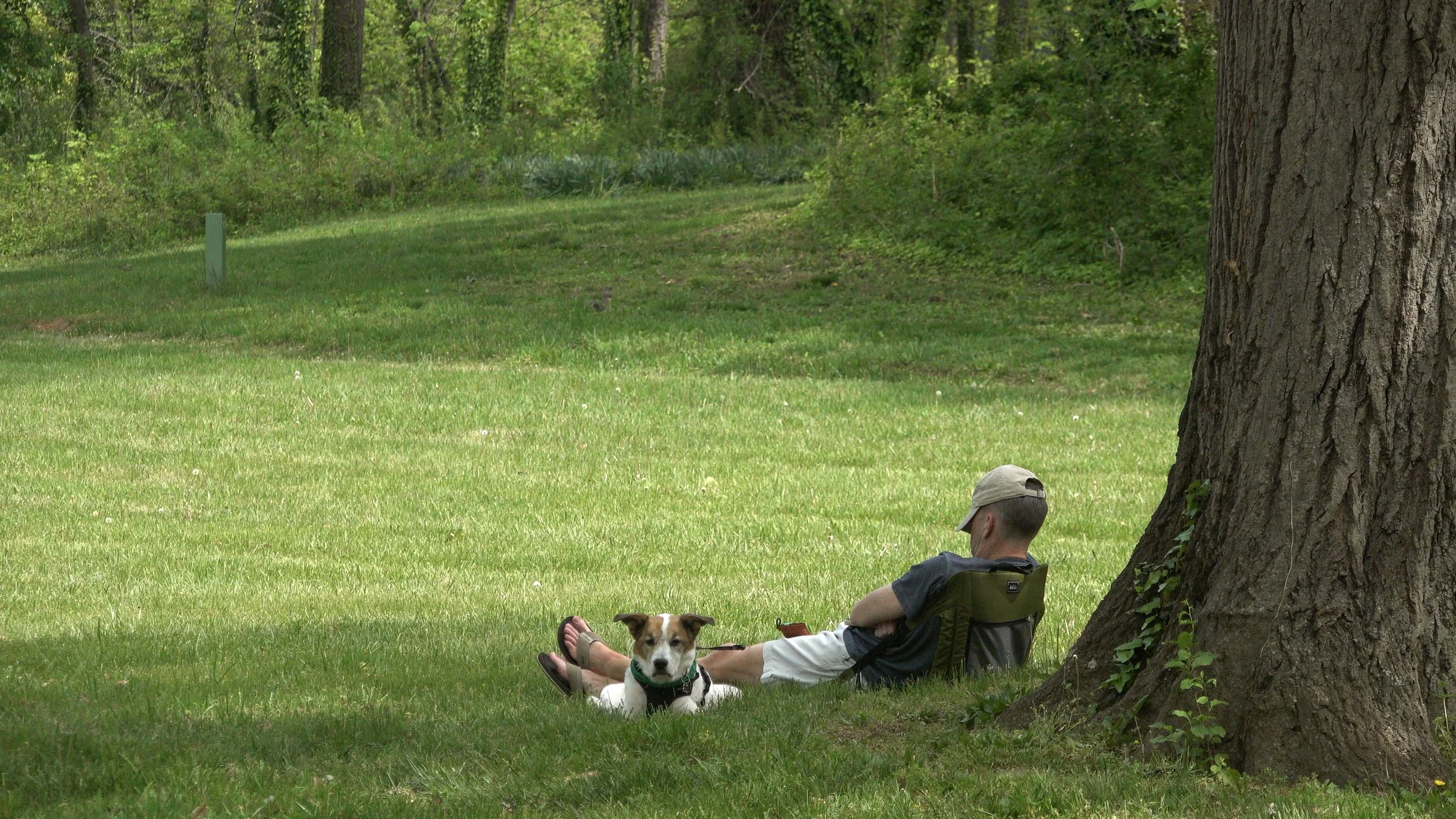 cut 2.00_00_21_04.Still003.jpg