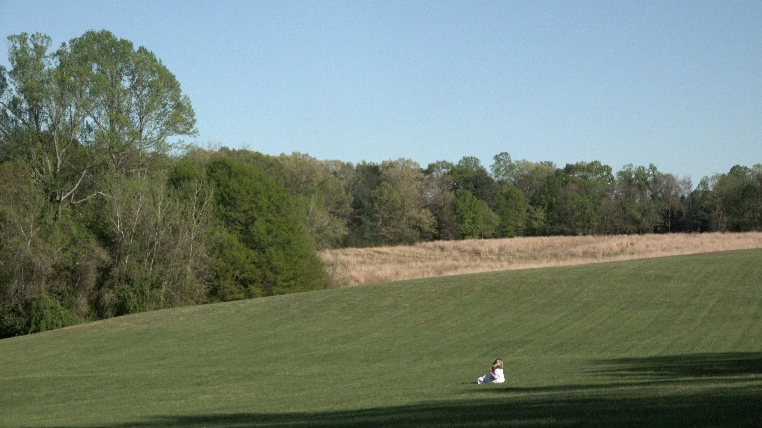 cut 2.00_03_05_21.Still010.jpg