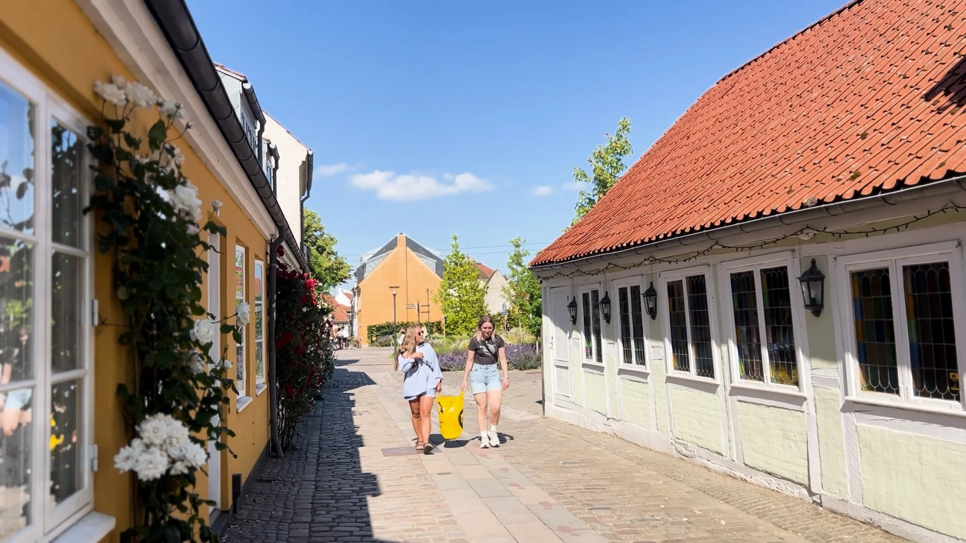 hohlding trash dkstill.jpg