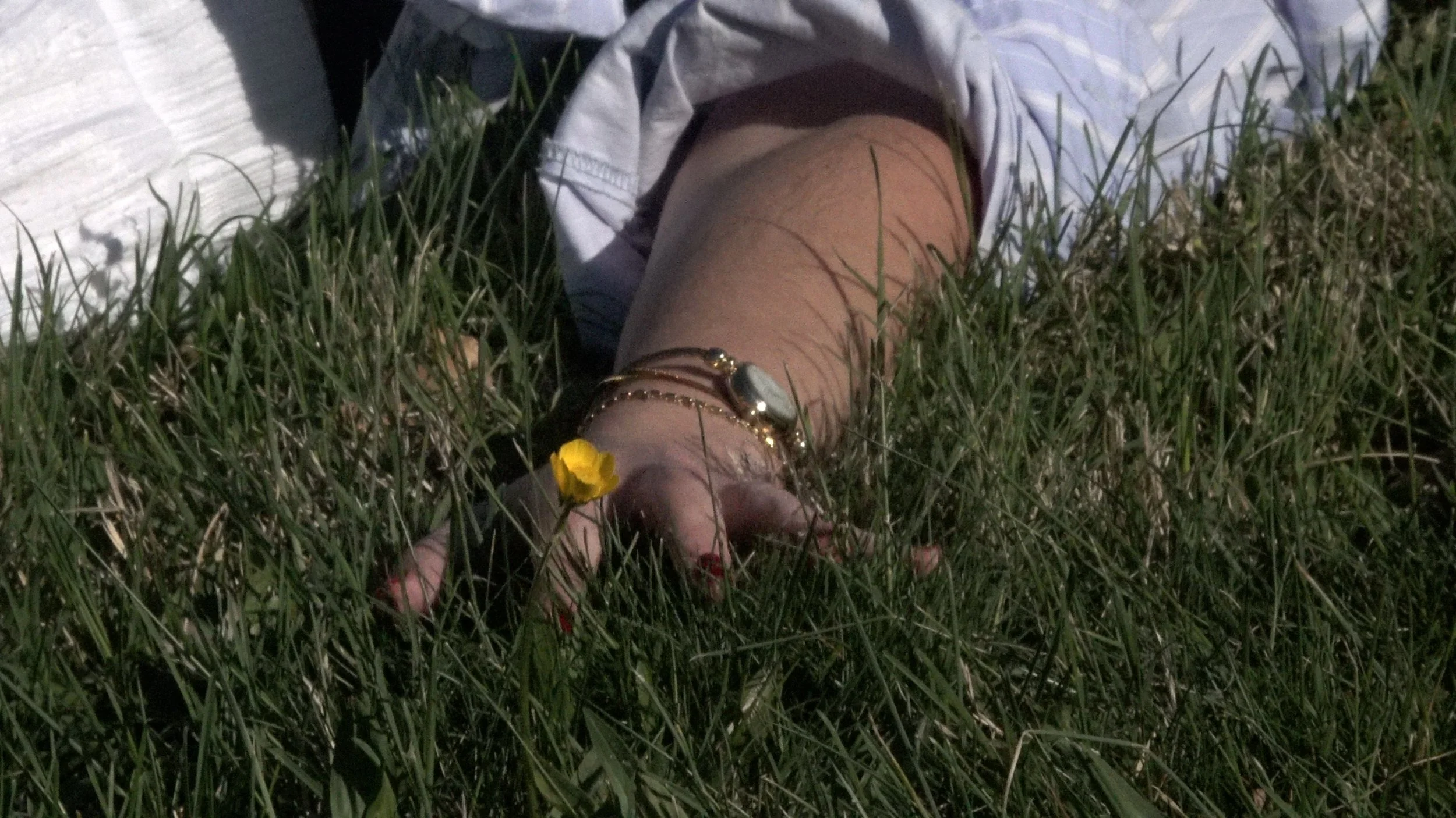 cut 2.00_04_36_11.Still014.jpg