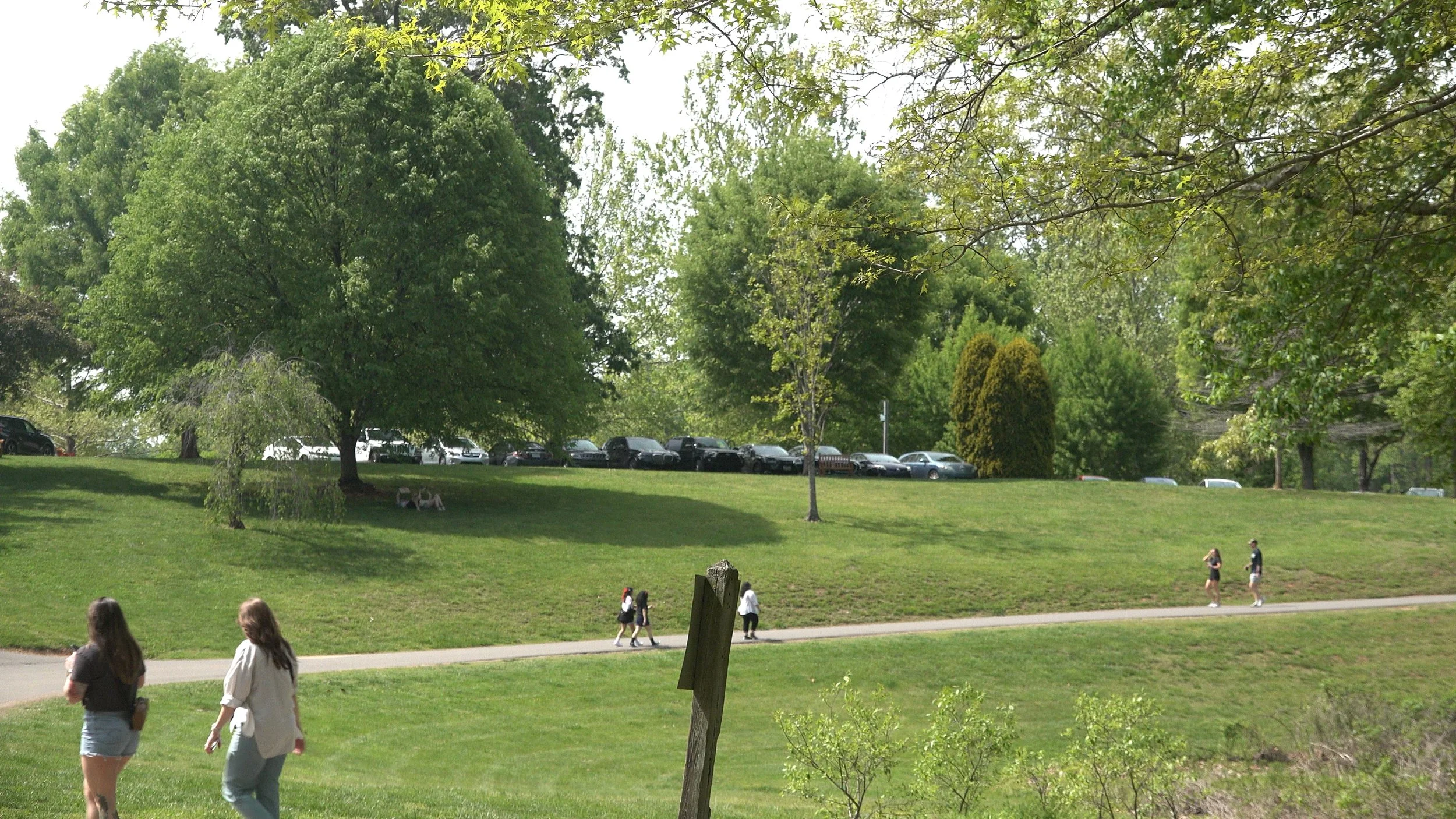 cut 2.00_01_27_14.Still008.jpg