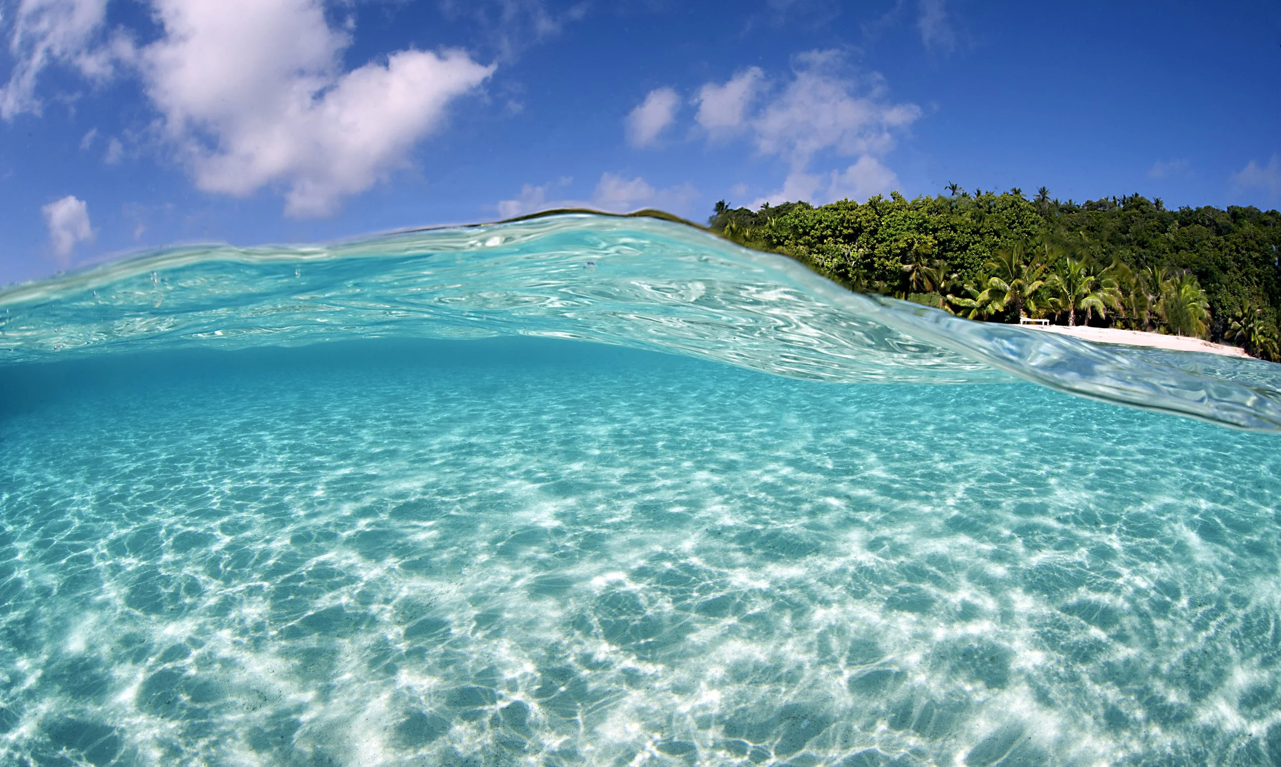 Tongan Beach.jpg