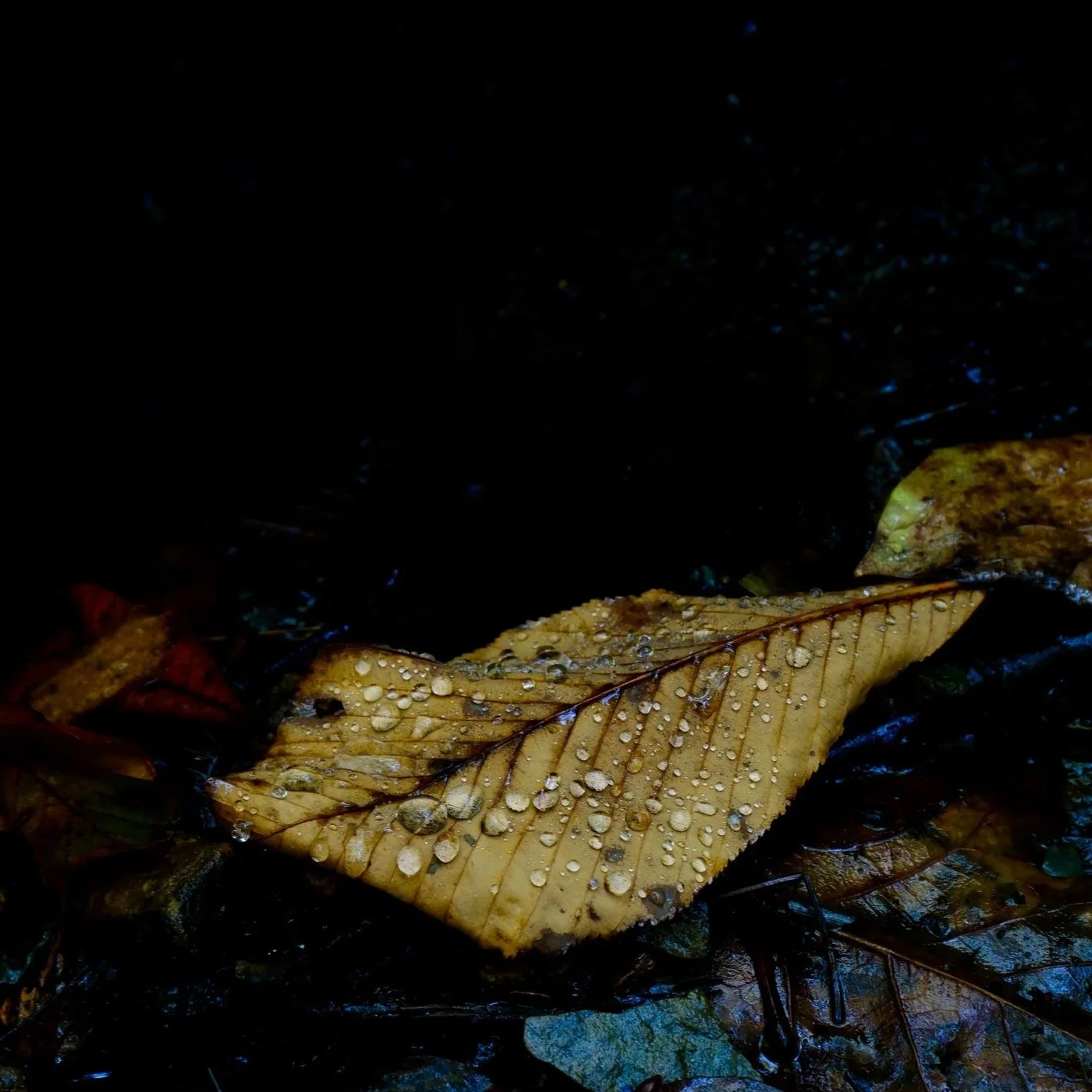 DSCF6872.jpg