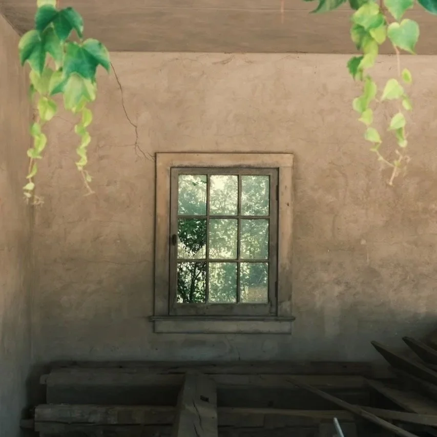 DSCF3798.jpg