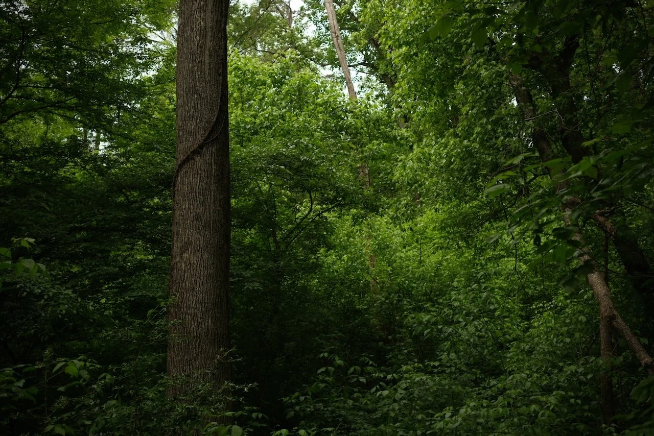 DSCF0876.jpeg