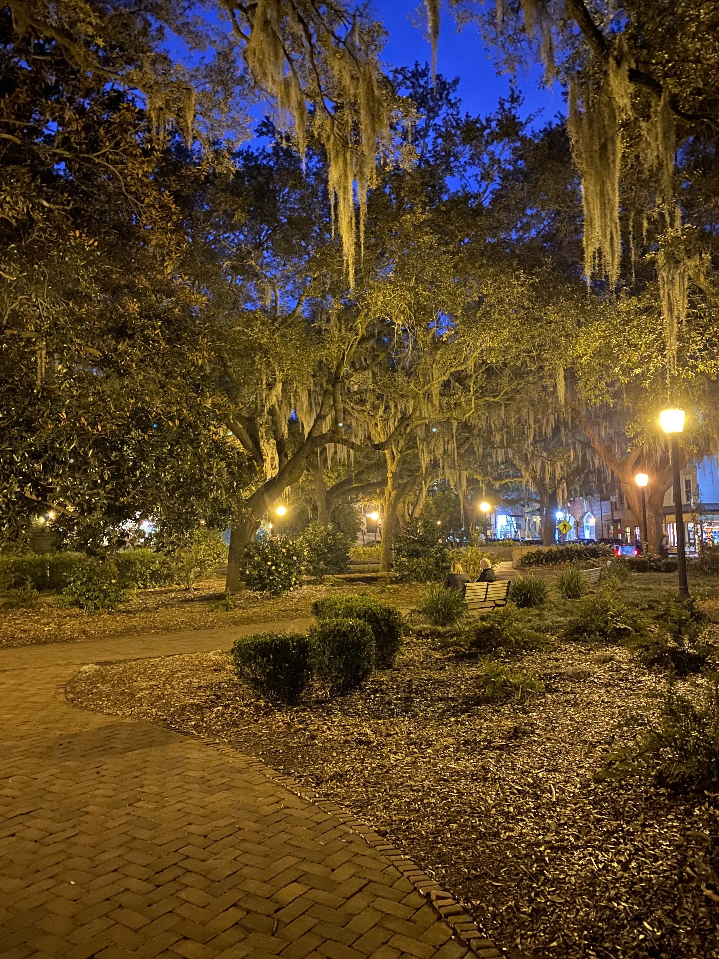 IMG_9355.jpeg