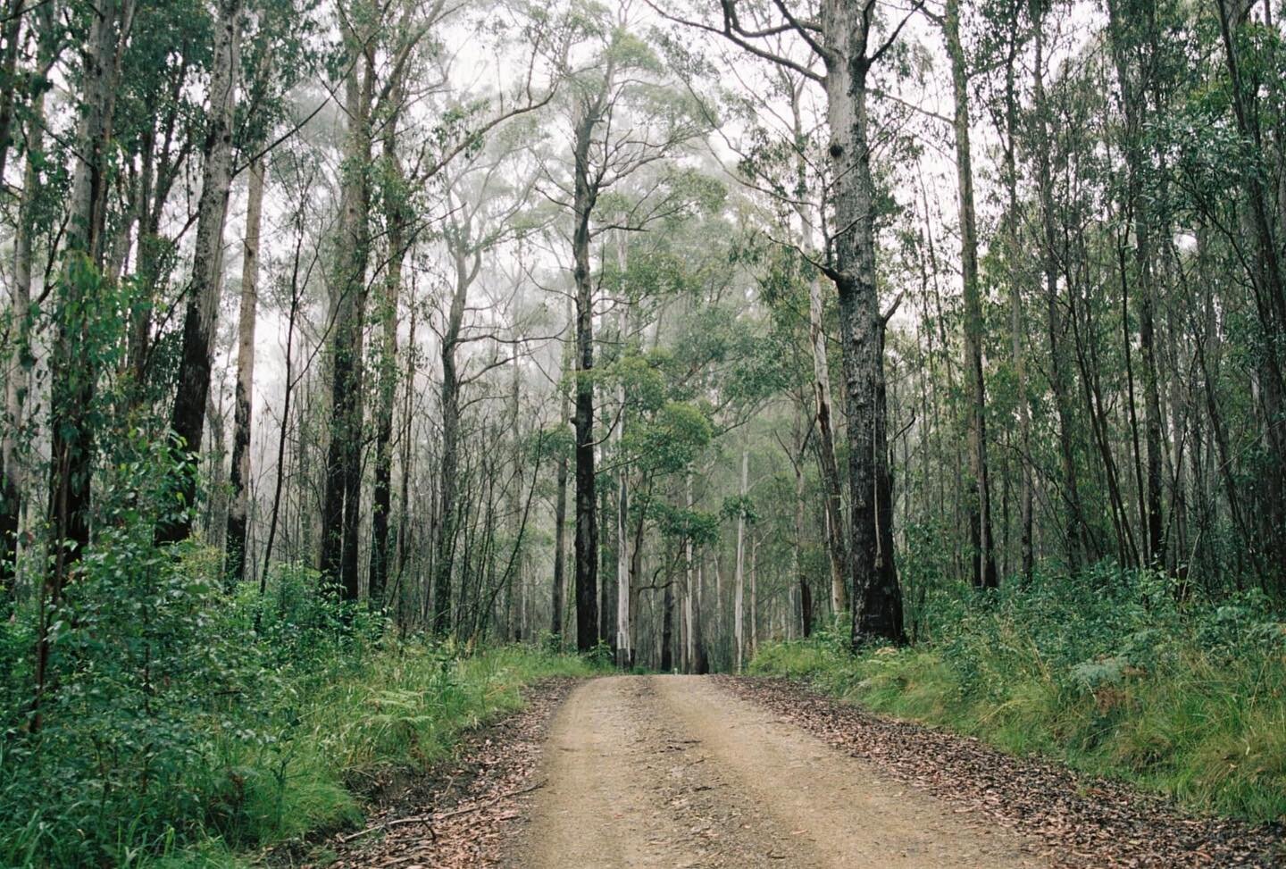 in the thick of it

hey friends 💛 where do begin? i&rsquo;m finding I have less time for this space. 

on the other side of that, its been packed with time as a family, time with loved ones, working on an upcoming retreat with my incredible friends 