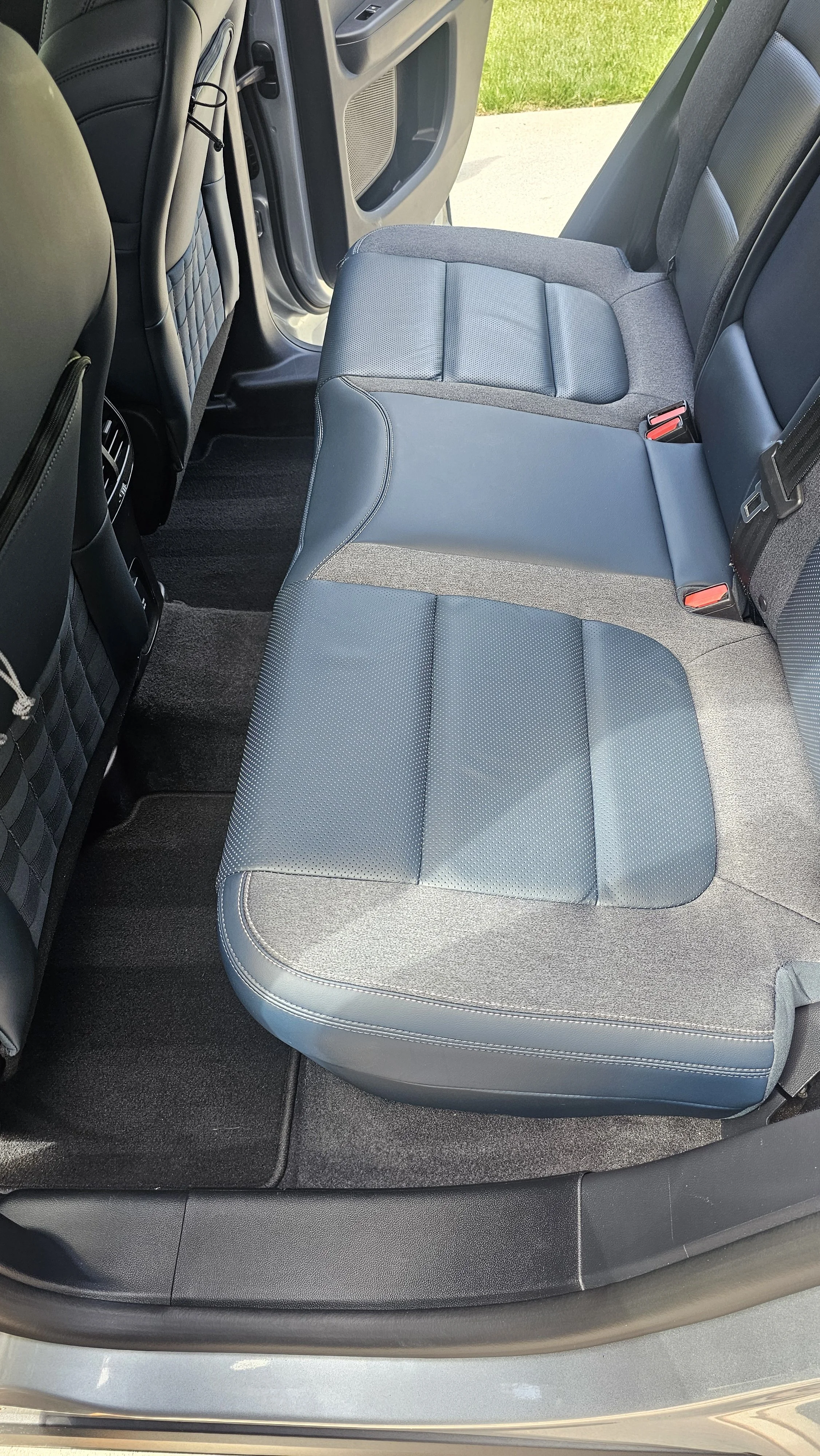 Rear car seat with gray fabric and leather upholstery and open car door with grassy area outside.