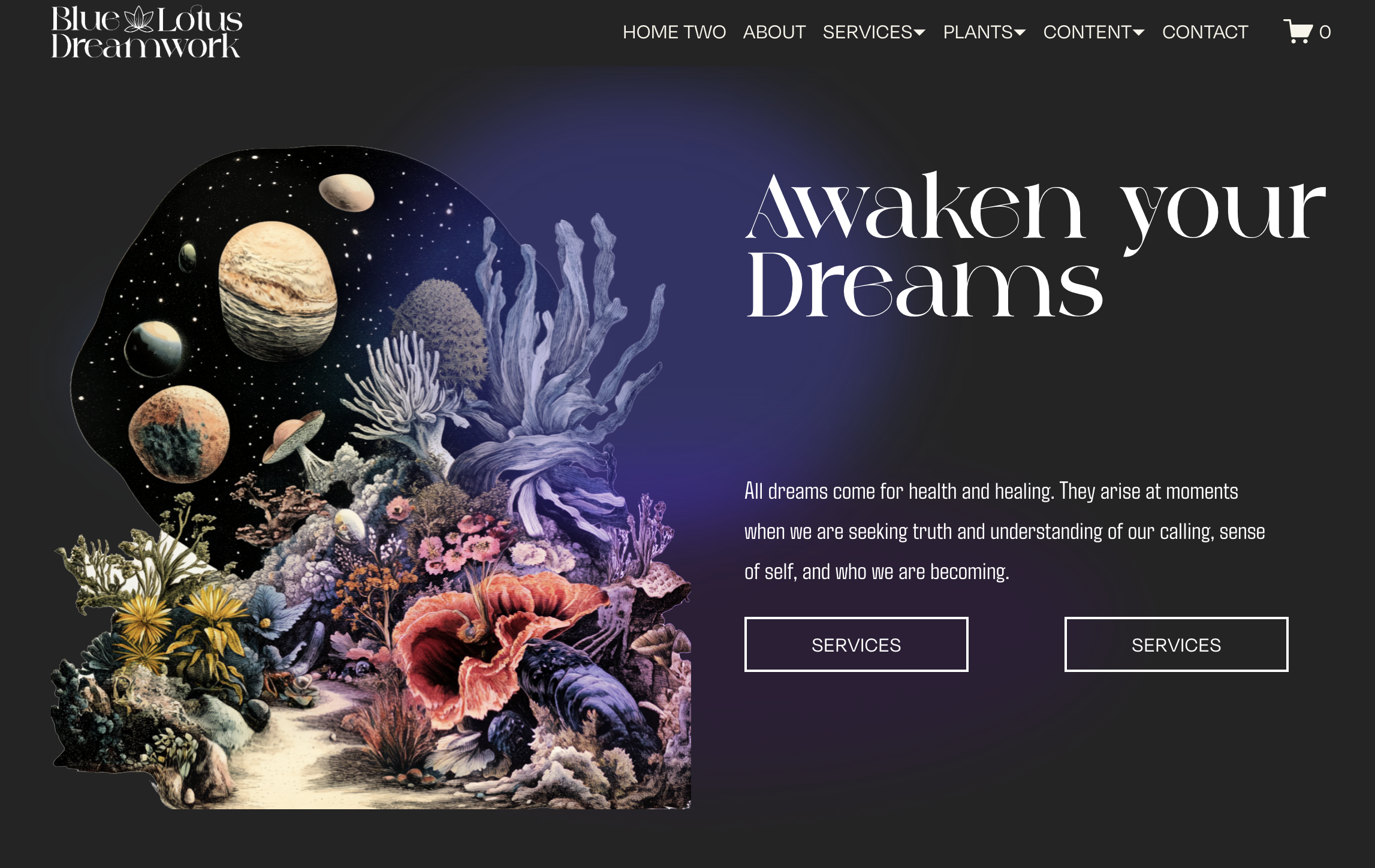 A digital art collage of a woman's profile filled with celestial and botanical imagery, including planets, moons, stars, coral, flowers, and mushrooms, alongside the text "Awaken your Dreams."