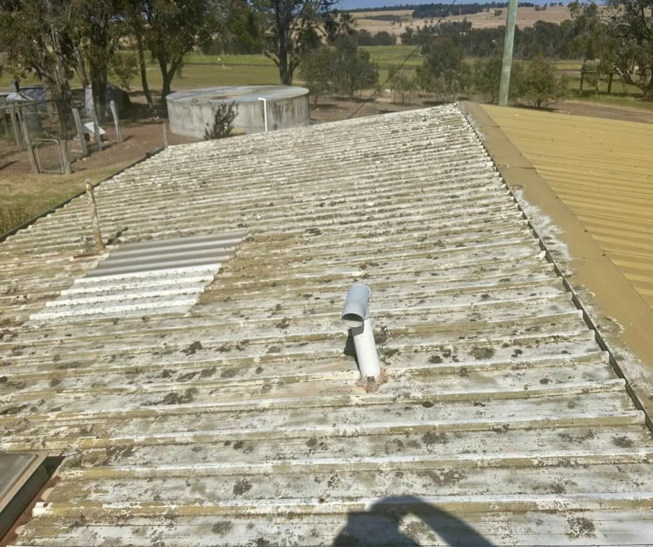 Kojonup.jpg