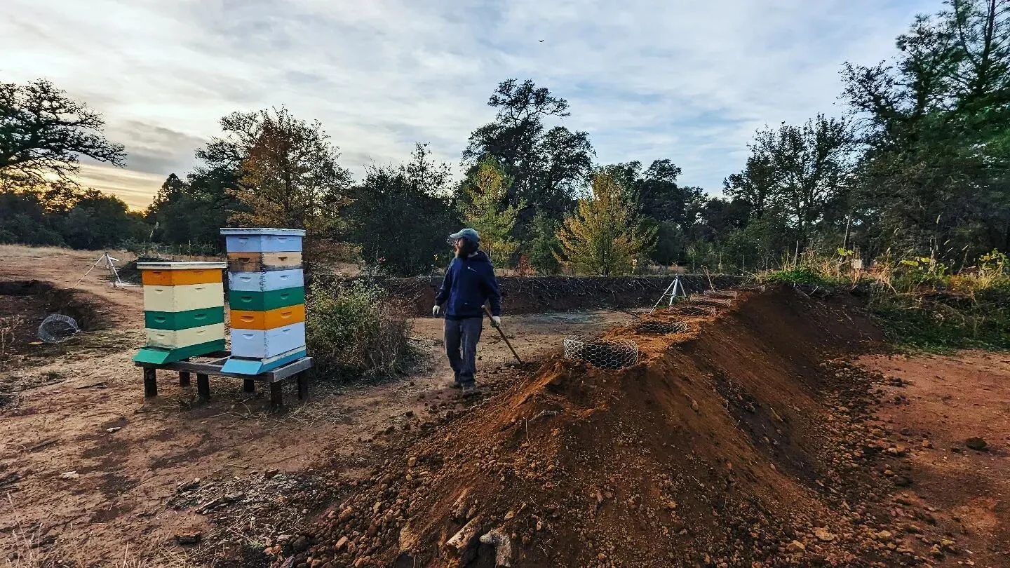 Would you believe we are finally wrapping up the last 90 ft of over 300 ft of permaculture mounds?! Can't wait to see all 72 of our fruit and berry trees flourish 🫐🥝🍇
.
Check out what we've been up to at www.sealdovehacienda.com
Link 🔗 in bio 💛
