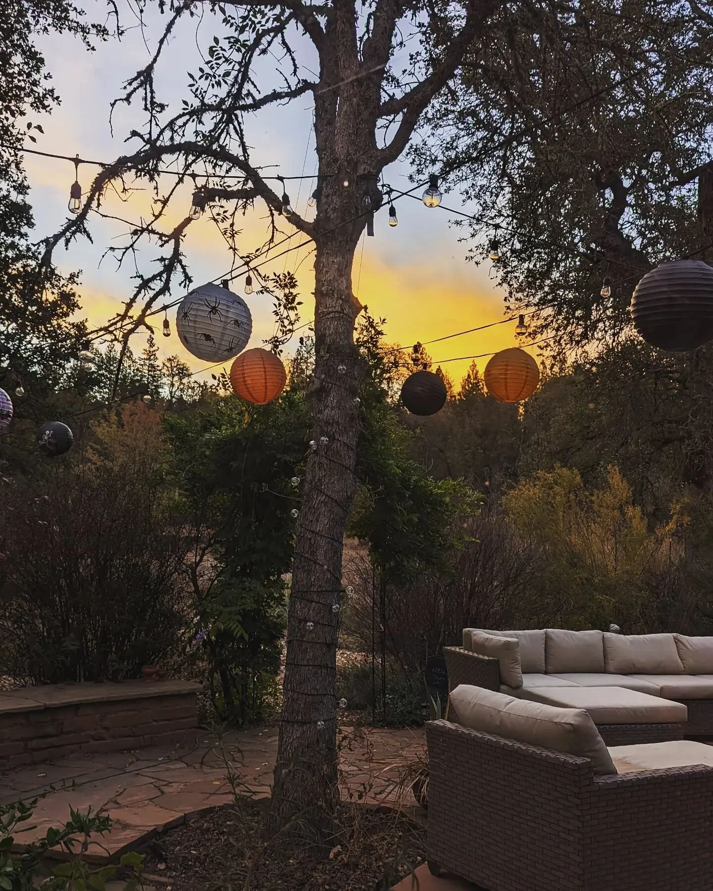 Happy Halloween 🎃 morning sunrise from 🦭🕊️🖤