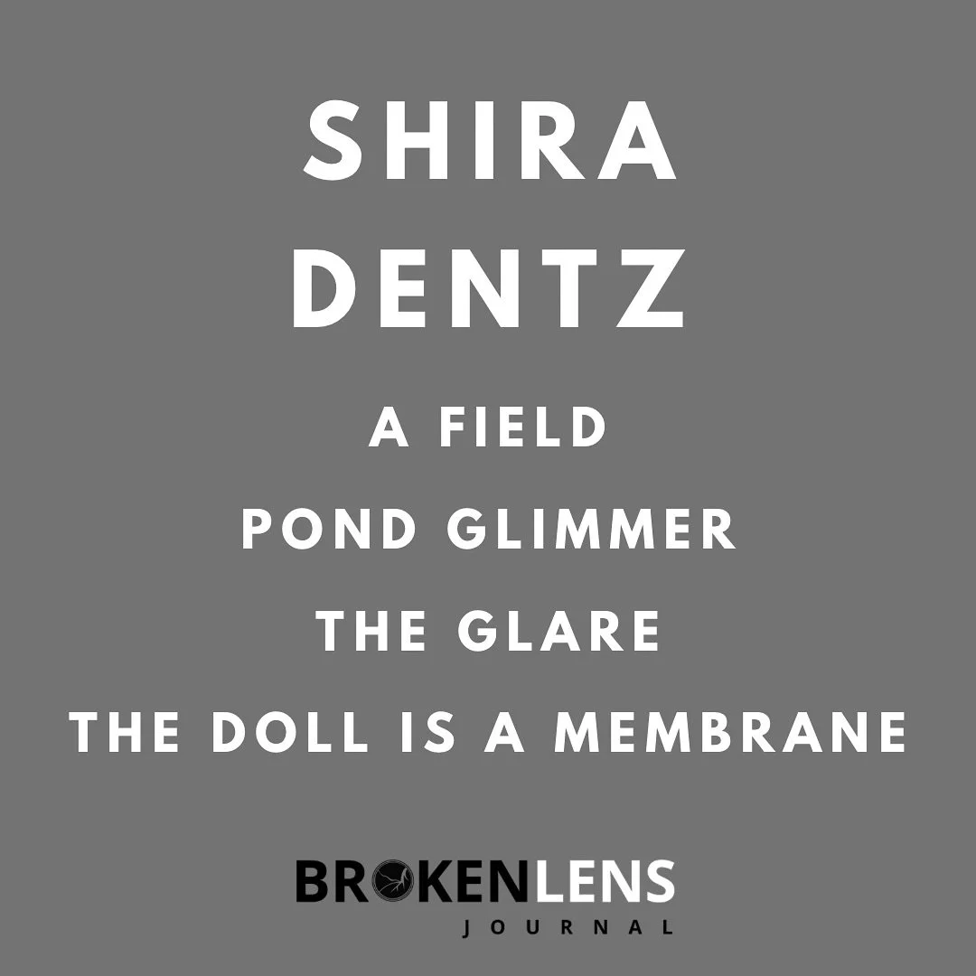 Shira Dentz (@shirablazing) is the author of five books including SISYPHUSINA (PANK Books; winner of the Eugene Paul Nassar Prize), and two chapbooks including FLOUNDERS (Essay Press). Her writing appears in many venues including Poetry, American Poe