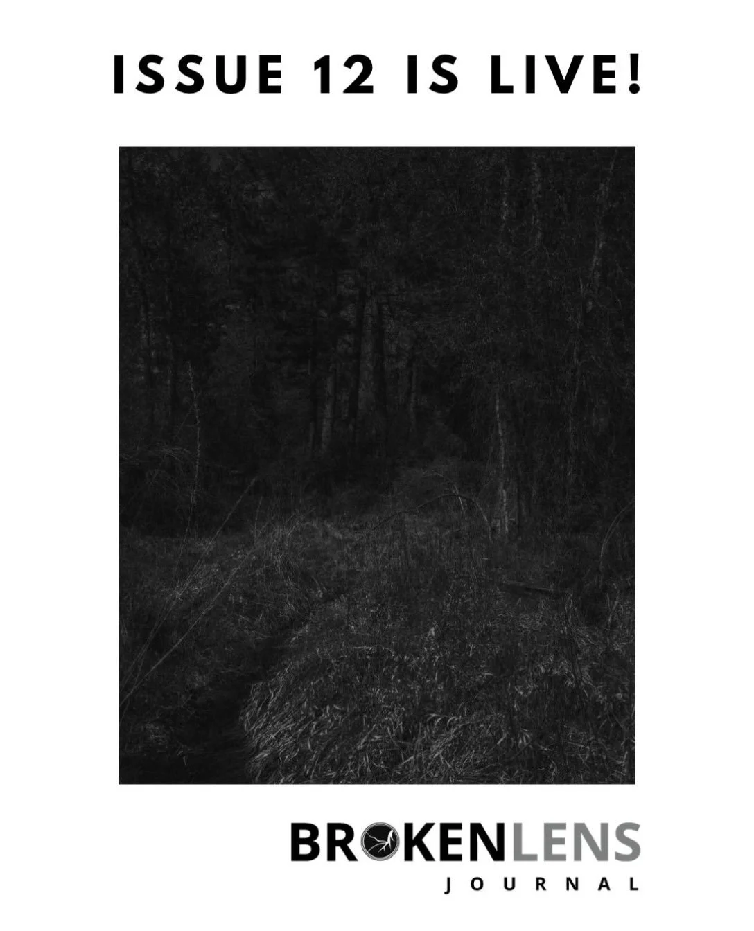 Issue 12 is out now and live on our website! Featuring the incredible work of @jcsnuggy, @salfratto529, Damian Wang, Dan Wiencek, @thirdworldlover, @erikjfuhrer, @ryan_difrancesco, @jorcor_writes, @hales_talbes, @bretonlikethecrackers, and  @rodrigo_