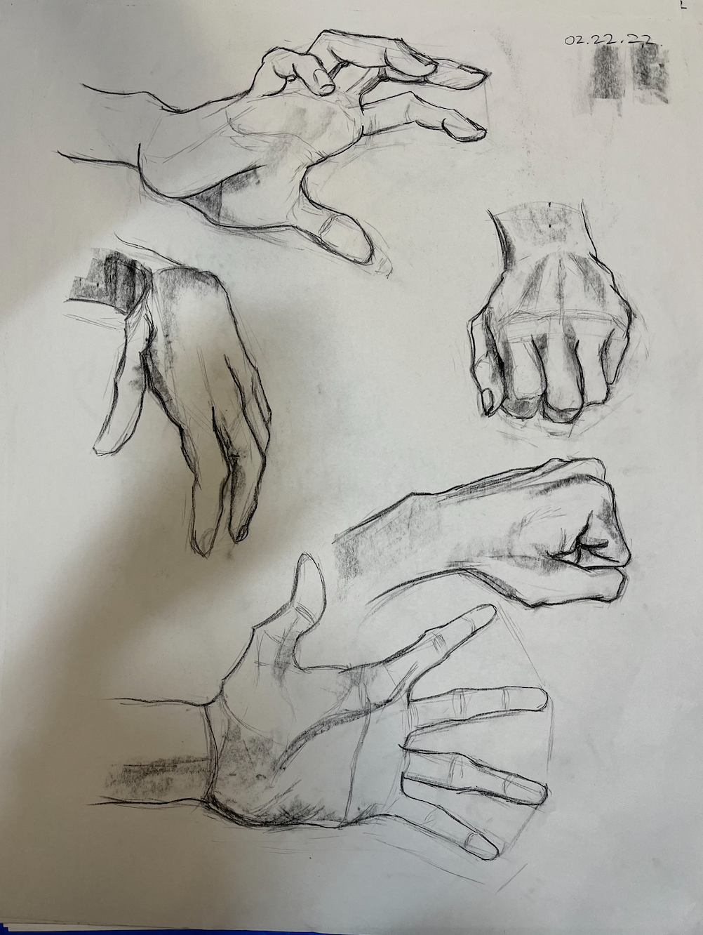 Hand Study (2022)