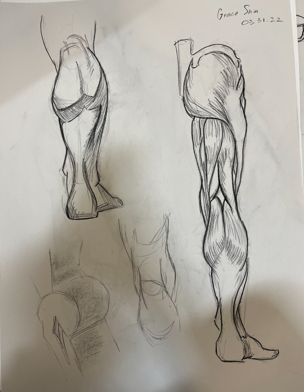 Leg Muscles Study (2022)