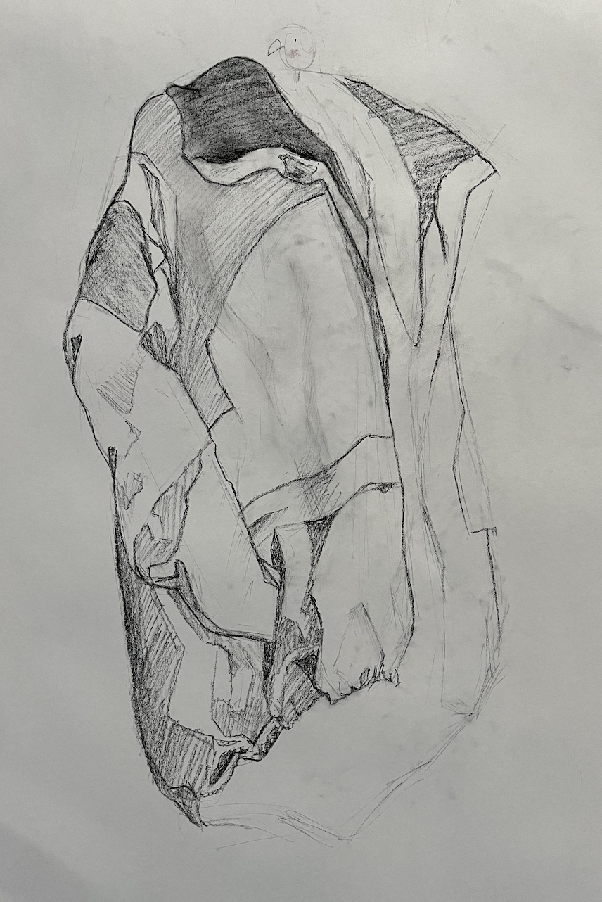 Cloth Study (2022)