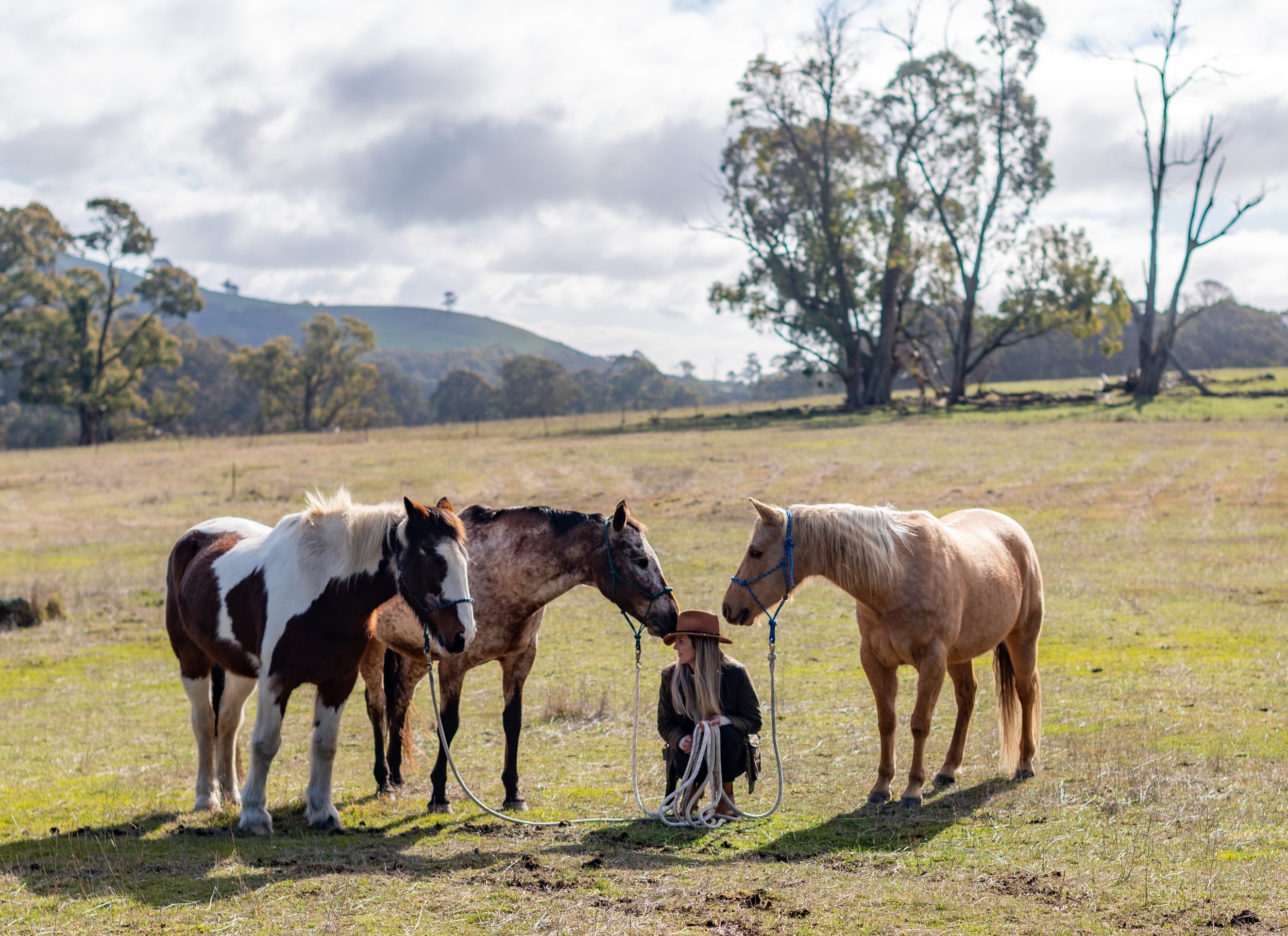 Woman sitting on the grass surrounded by three horses in a grassy field with trees and hills in the background.