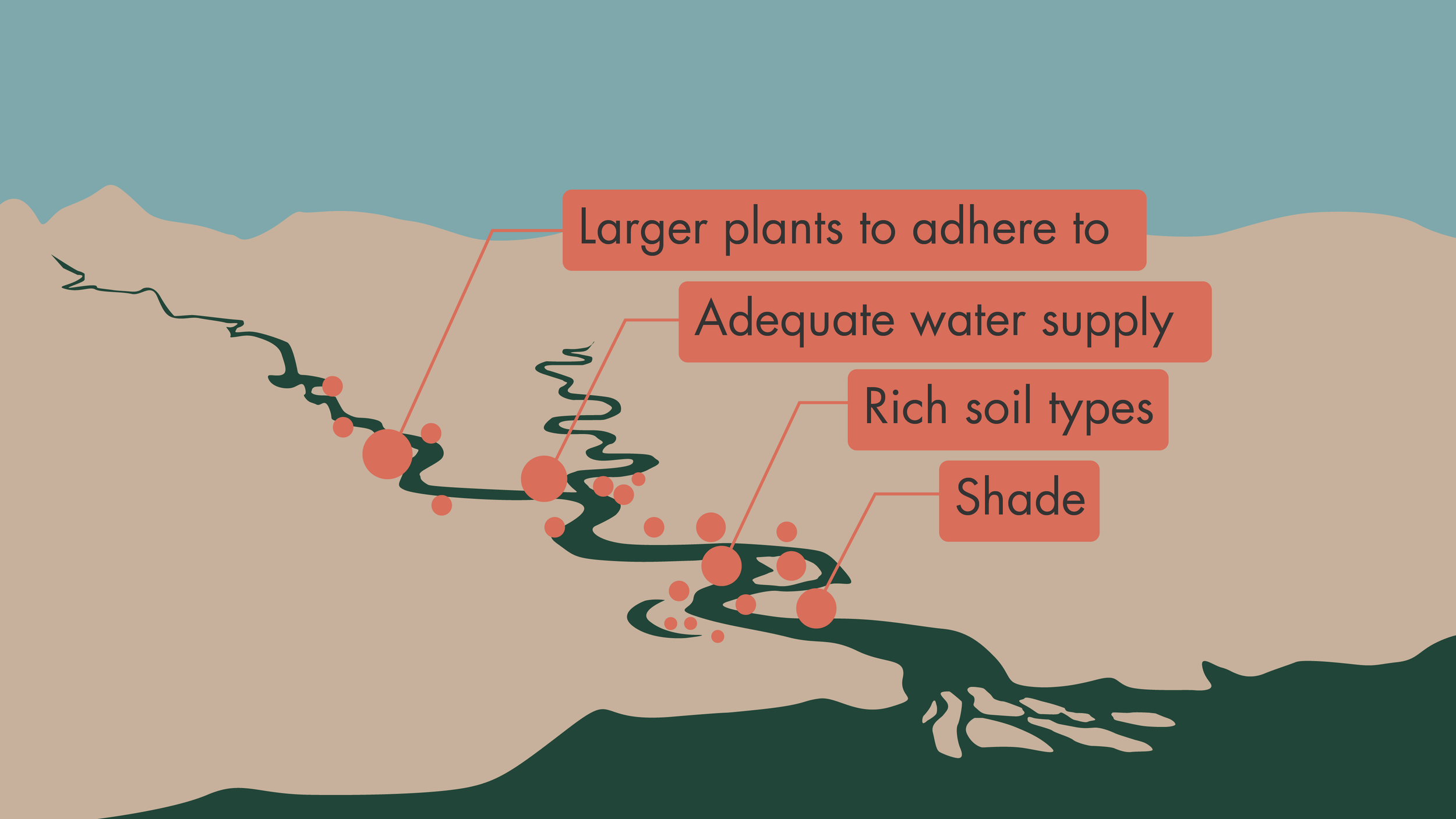 VE_SAVE OUR CATCHMENT_GRAPHICS_06.png
