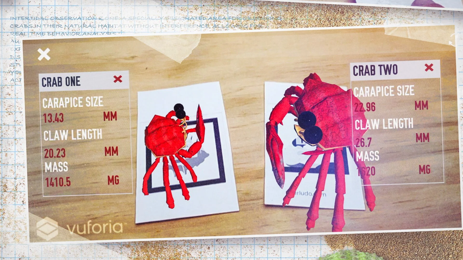 Resevoir Crabs-IMAGE-5.jpg