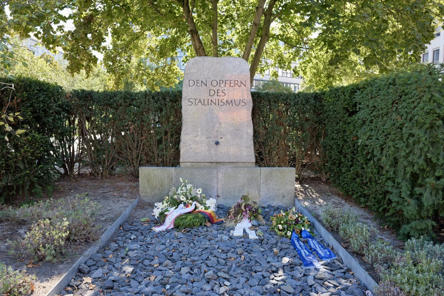 PS521360.jpg