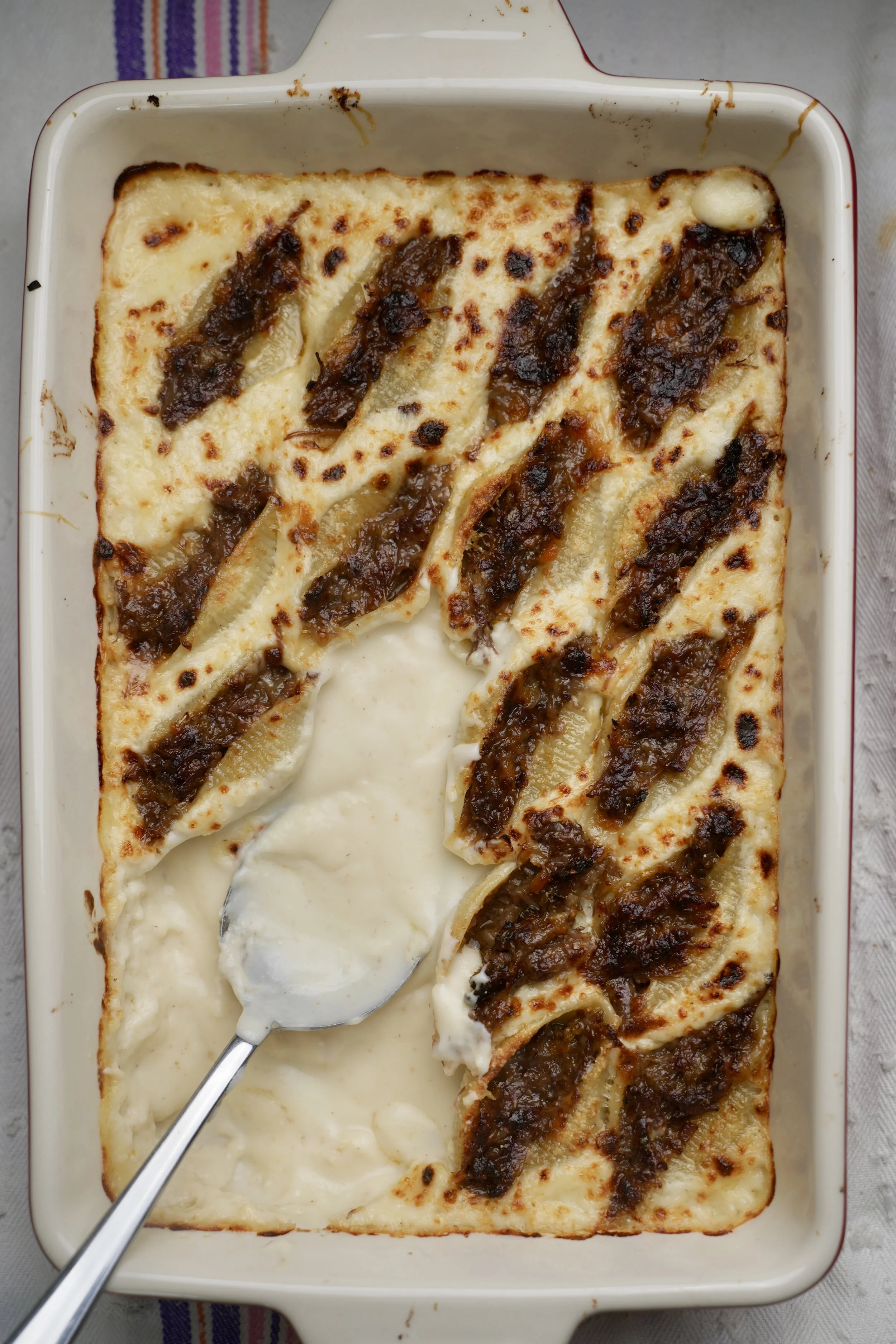 Pulled beef stuffed conchigioni pasta