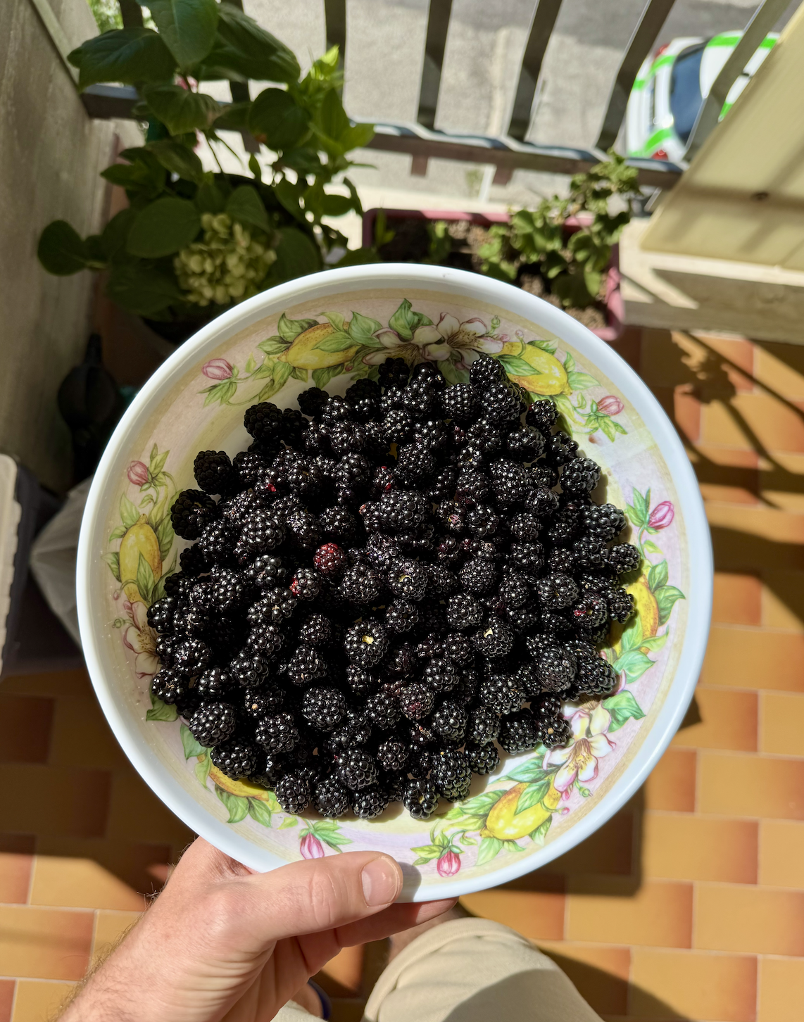 Wild black berries jam