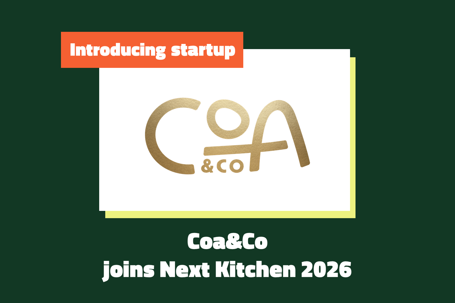 Meet the Startup: Coa&amp;Co