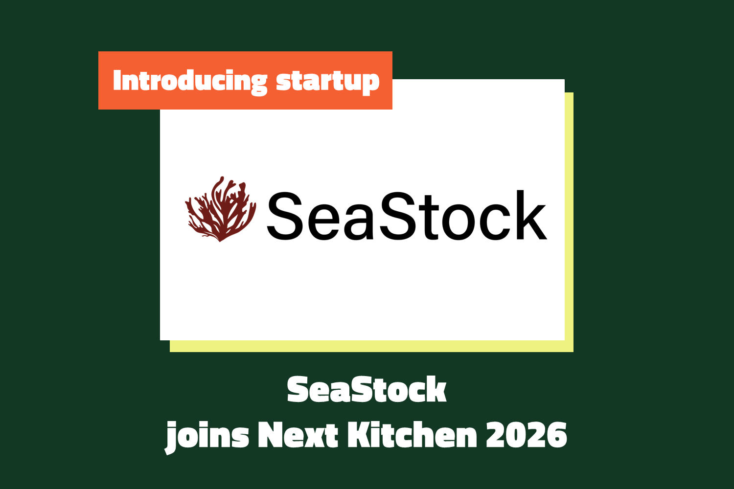 Meet the Startup: SeaStock