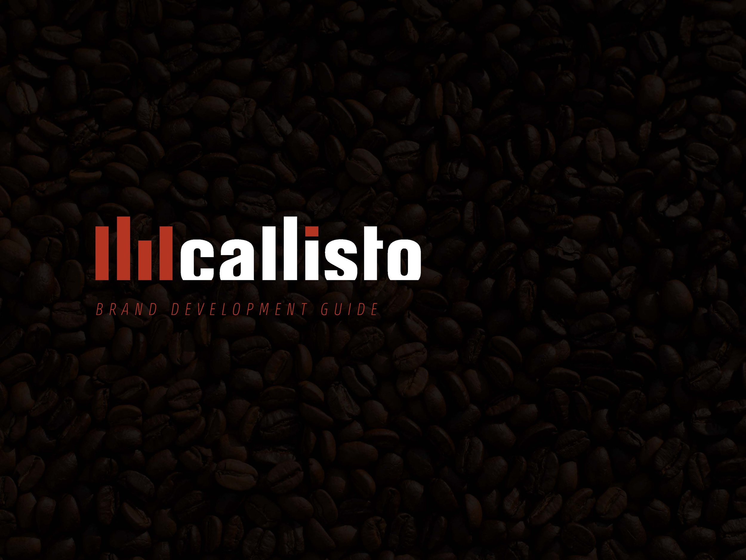 Callisto_folio_Page_01.jpg