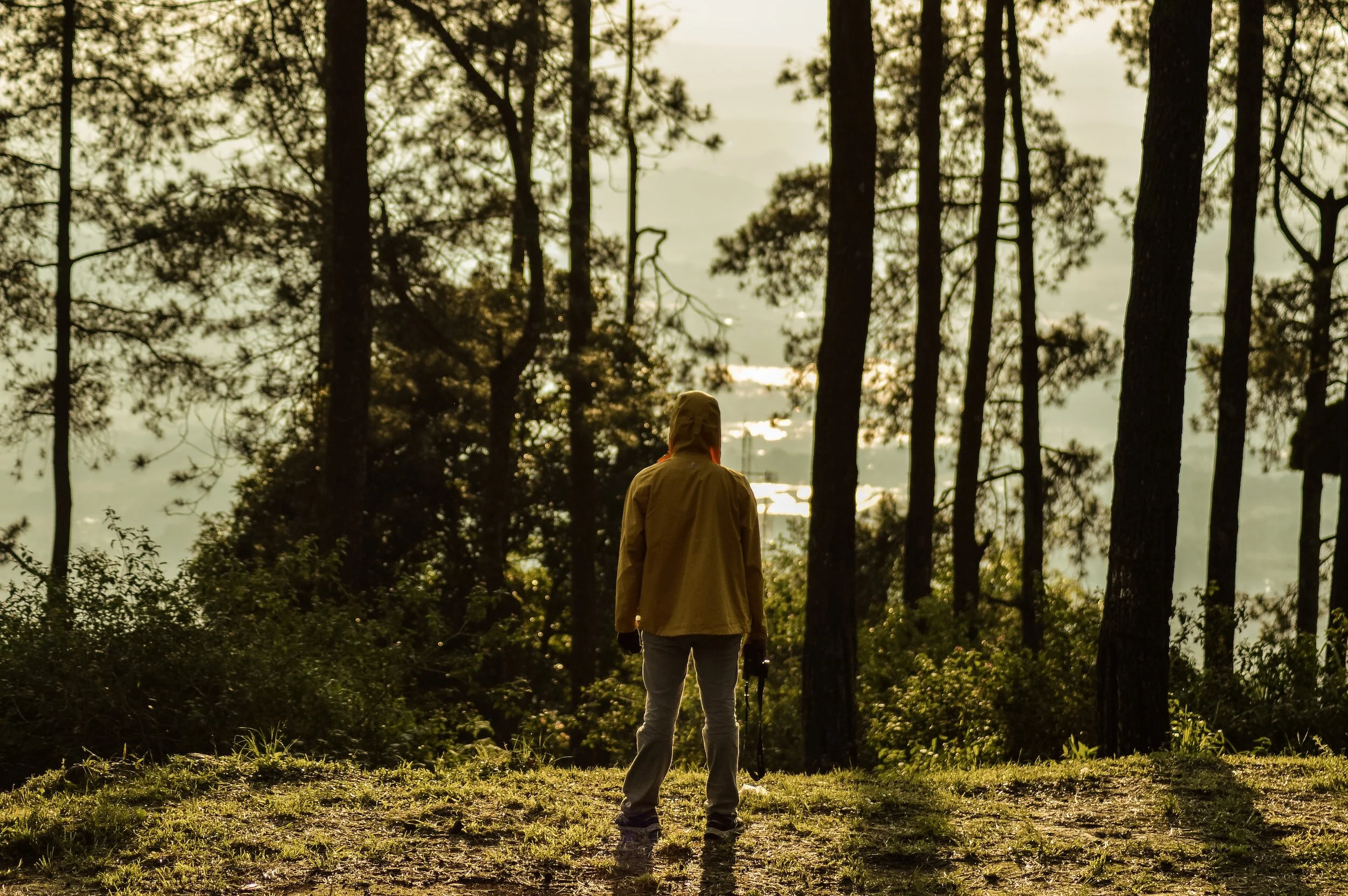 A person in a yellow jacket and gray pants stands in a forest, facing away from the camera, holding a camera in their right hand during sunset or sunrise.