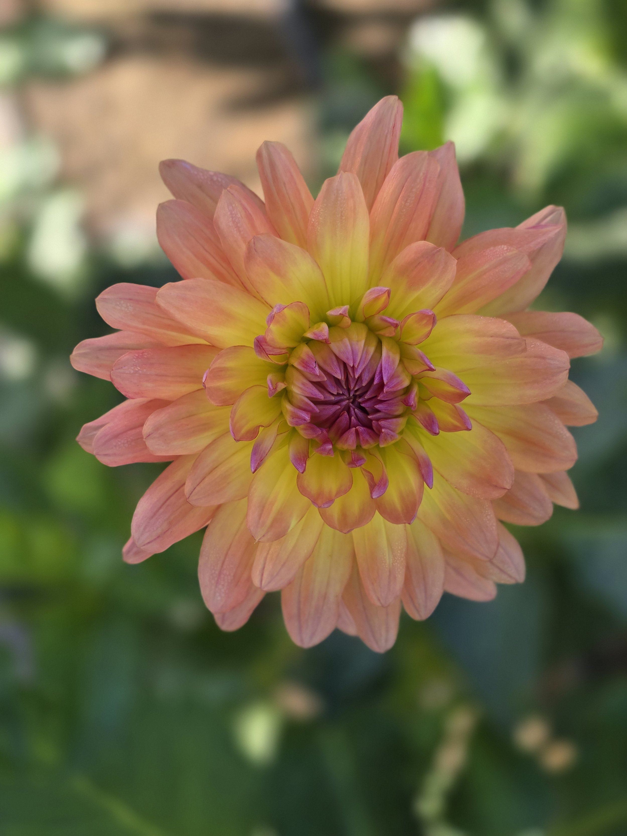 Gabrielle Marie  (1).jpg