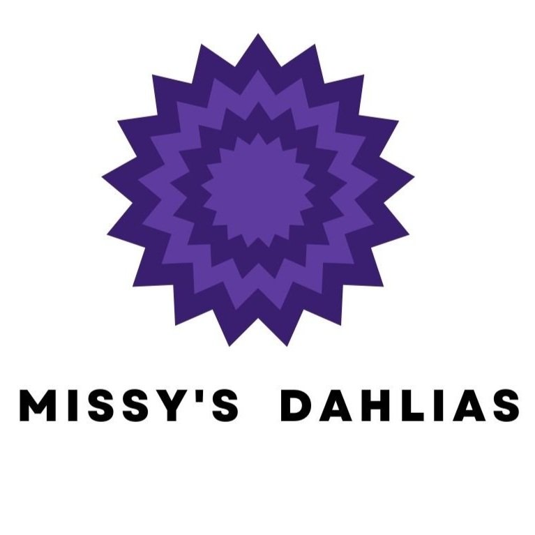 Missy&#39;s Dahlias