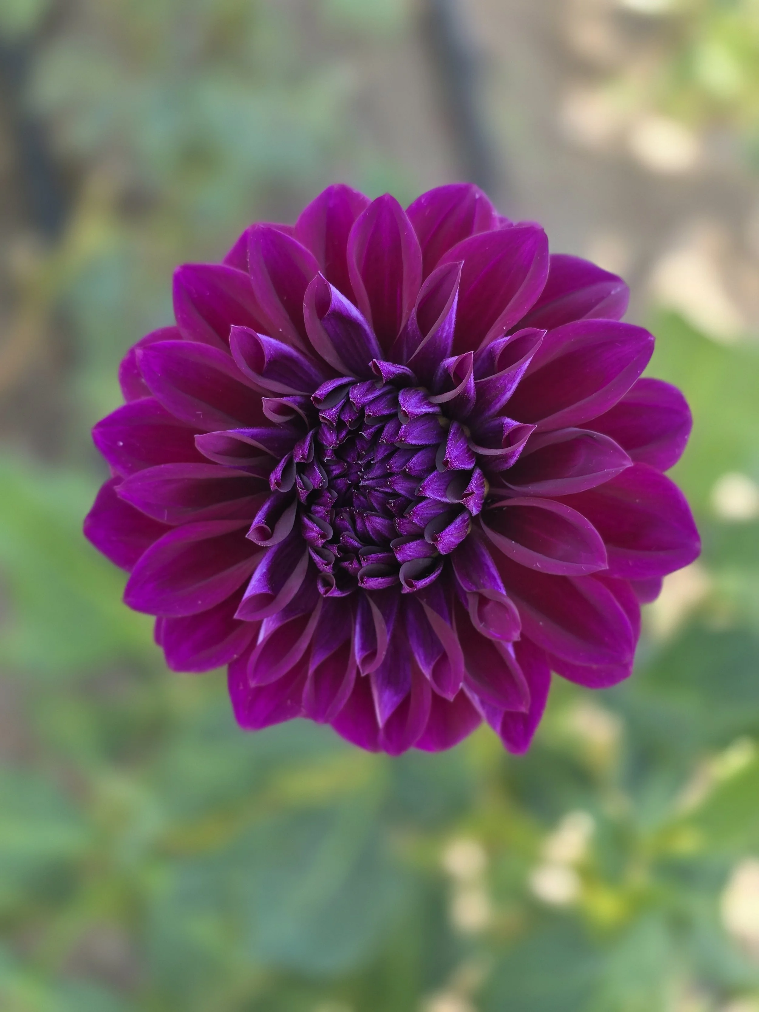 Bloomquist Port (1).jpg