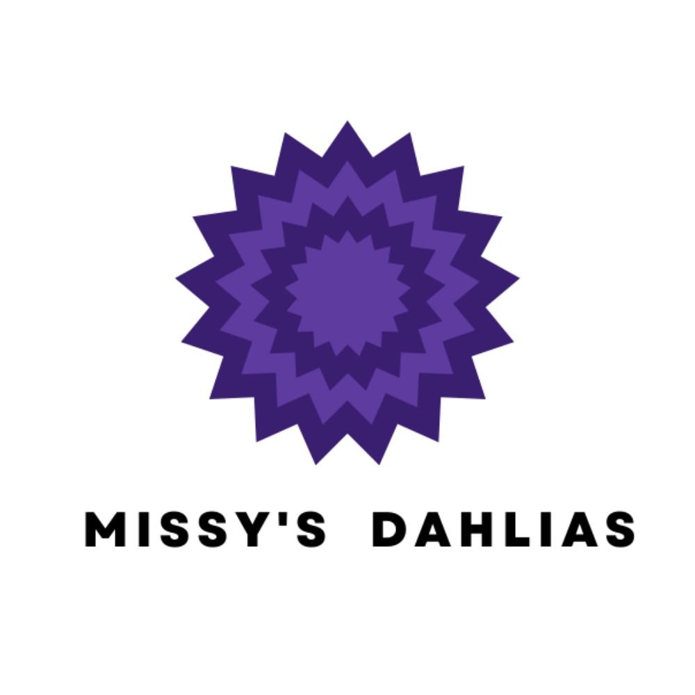 Missy&#39;s Dahlias